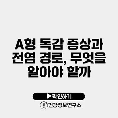 A형 독감 증상과 전염 경로, 무엇을 알아야 할까?