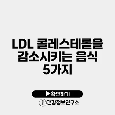 LDL 콜레스테롤을 감소시키는 음식 5가지