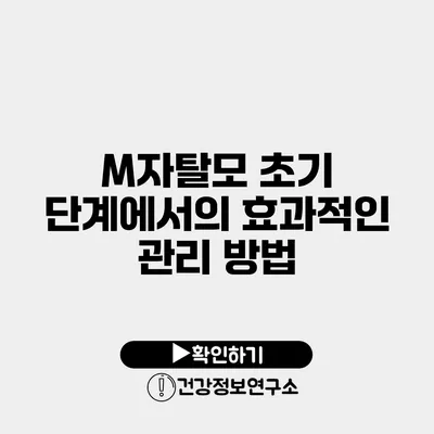 M자탈모 초기 단계에서의 효과적인 관리 방법