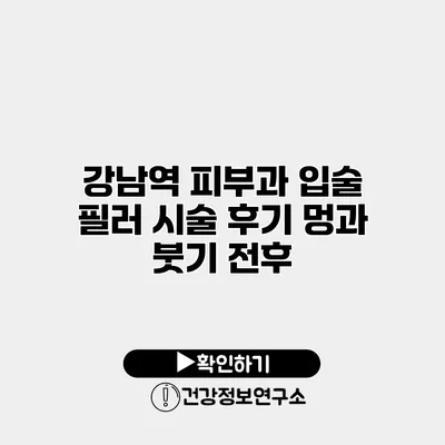 강남역 피부과 입술 필러 시술 후기 멍과 붓기 전후