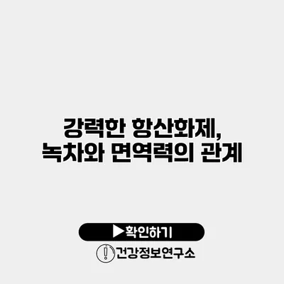 강력한 항산화제, 녹차와 면역력의 관계