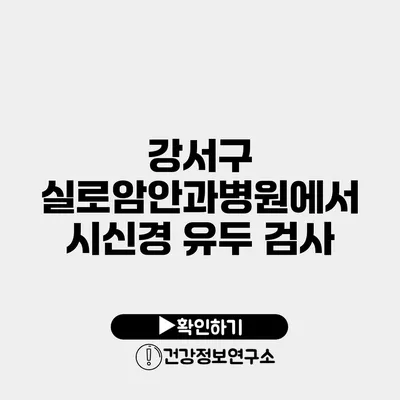 강서구 실로암안과병원에서 시신경 유두 검사