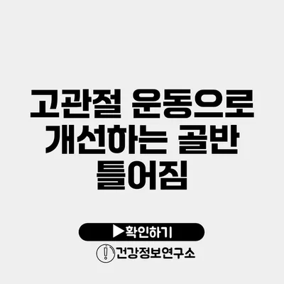 고관절 운동으로 개선하는 골반 틀어짐