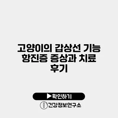 고양이의 갑상선 기능 항진증 증상과 치료 후기