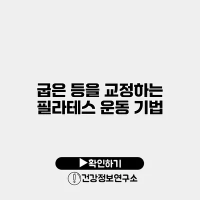 굽은 등을 교정하는 필라테스 운동 기법