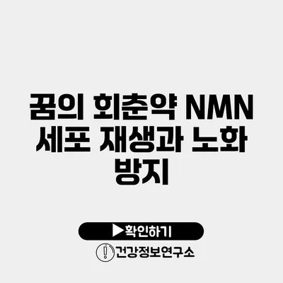 꿈의 회춘약 NMN 세포 재생과 노화 방지