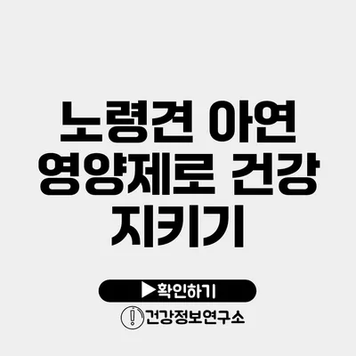노령견 아연 영양제로 건강 지키기