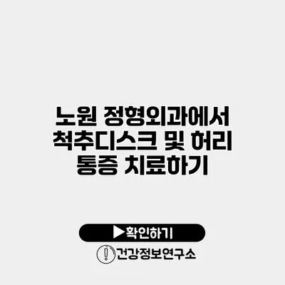 노원 정형외과에서 척추디스크 및 허리 통증 치료하기