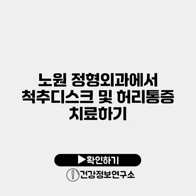 노원 정형외과에서 척추디스크 및 허리통증 치료하기