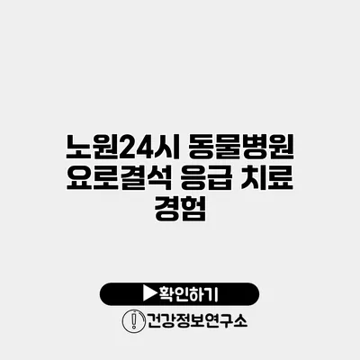 노원24시 동물병원 요로결석 응급 치료 경험