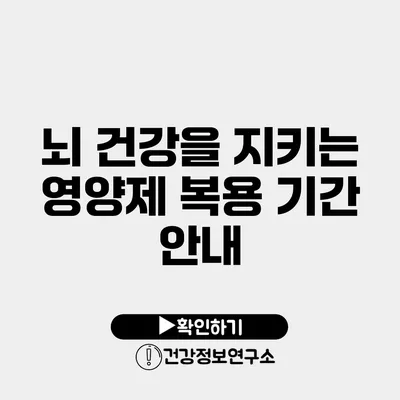 뇌 건강을 지키는 영양제 복용 기간 안내