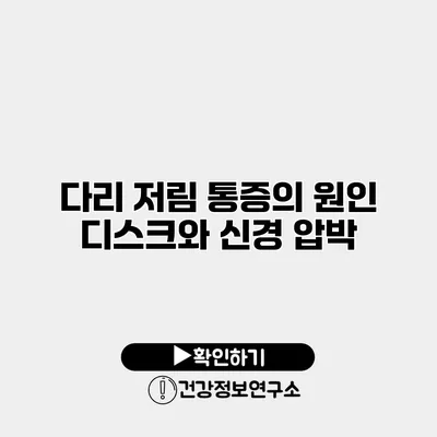 다리 저림 통증의 원인 디스크와 신경 압박