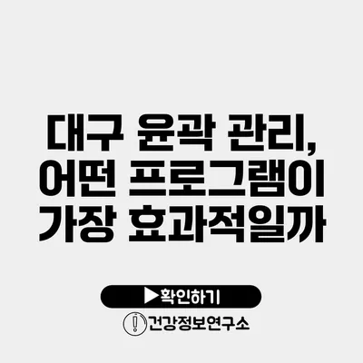 대구 윤곽 관리, 어떤 프로그램이 가장 효과적일까?