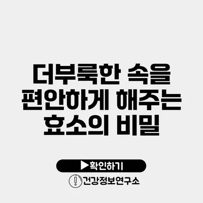 더부룩한 속을 편안하게 해주는 효소의 비밀