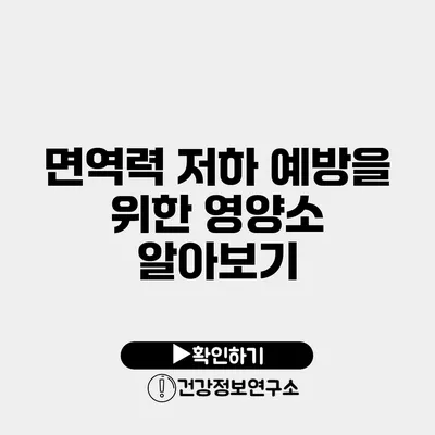 면역력 저하 예방을 위한 영양소 알아보기