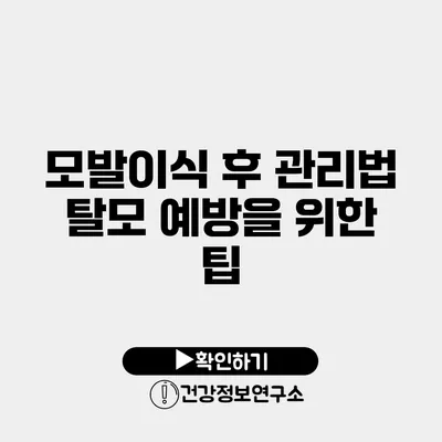 모발이식 후 관리법 탈모 예방을 위한 팁