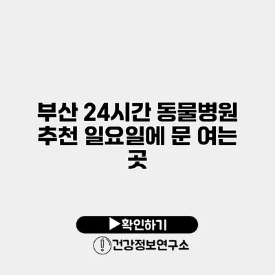 부산 24시간 동물병원 추천 일요일에 문 여는 곳