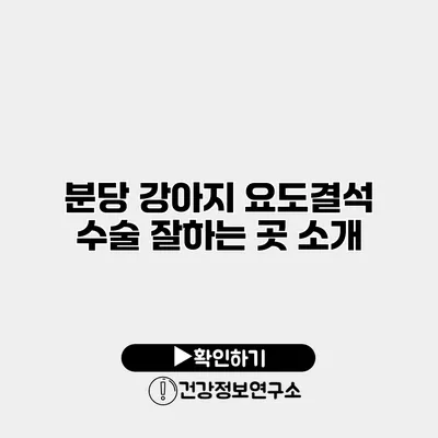 분당 강아지 요도결석 수술 잘하는 곳 소개