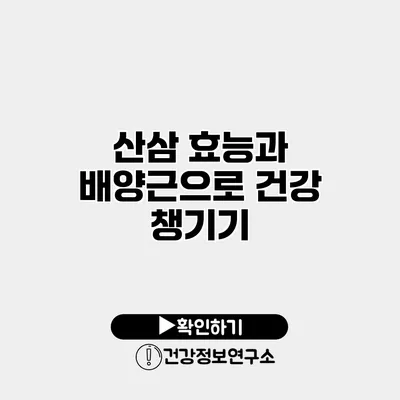 산삼 효능과 배양근으로 건강 챙기기