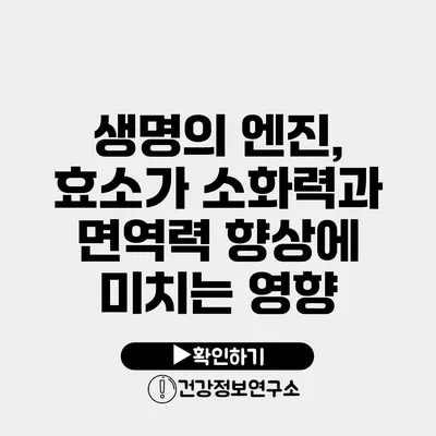 생명의 엔진, 효소가 소화력과 면역력 향상에 미치는 영향