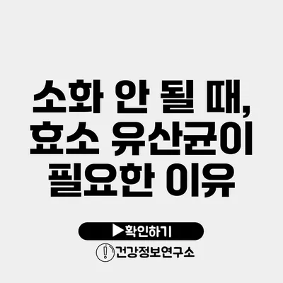 소화 안 될 때, 효소 유산균이 필요한 이유