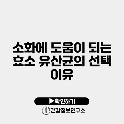 소화에 도움이 되는 효소 유산균의 선택 이유