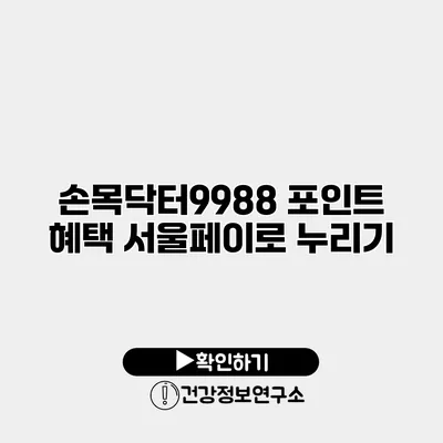 손목닥터9988 포인트 혜택 서울페이로 누리기