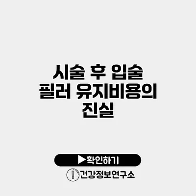 시술 후 입술 필러 유지비용의 진실