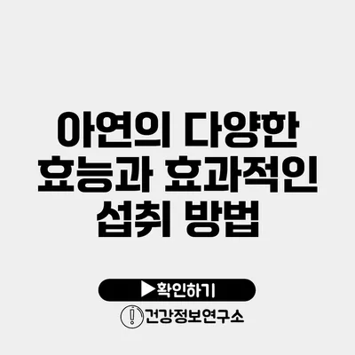 아연의 다양한 효능과 효과적인 섭취 방법