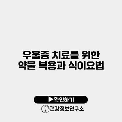 우울증 치료를 위한 약물 복용과 식이요법