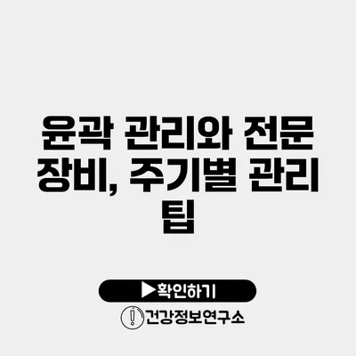 윤곽 관리와 전문 장비, 주기별 관리 팁