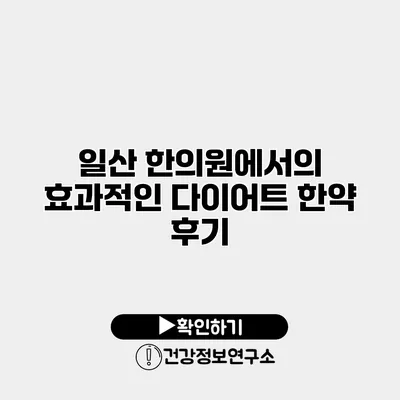 일산 한의원에서의 효과적인 다이어트 한약 후기