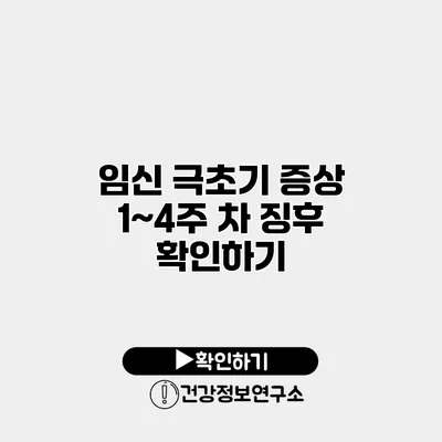 임신 극초기 증상 1~4주 차 징후 확인하기