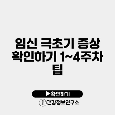 임신 극초기 증상 확인하기 1~4주차 팁