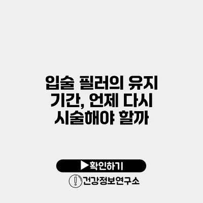 입술 필러의 유지 기간, 언제 다시 시술해야 할까?