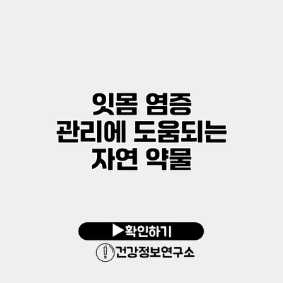 잇몸 염증 관리에 도움되는 자연 약물