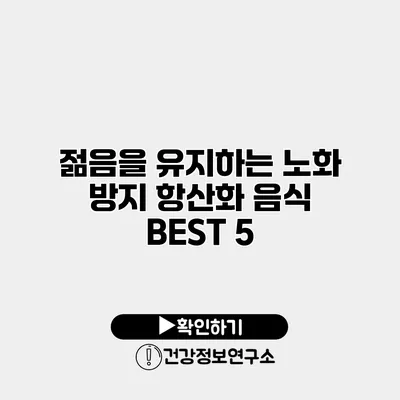 젊음을 유지하는 노화 방지 항산화 음식 BEST 5