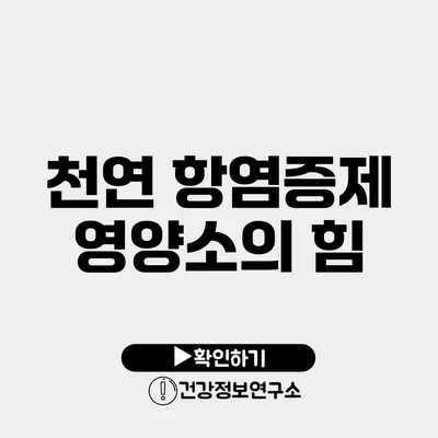 천연 항염증제 영양소의 힘