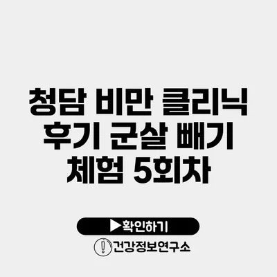 청담 비만 클리닉 후기 군살 빼기 체험 5회차