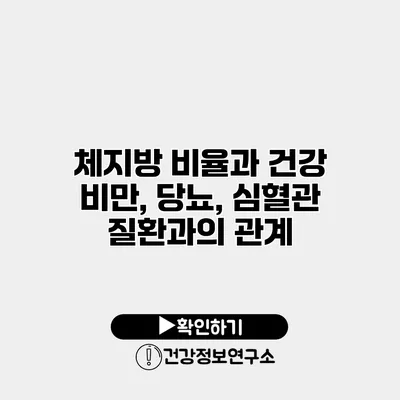 체지방 비율과 건강 비만, 당뇨, 심혈관 질환과의 관계