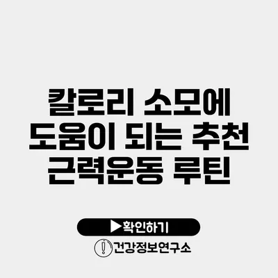 칼로리 소모에 도움이 되는 추천 근력운동 루틴