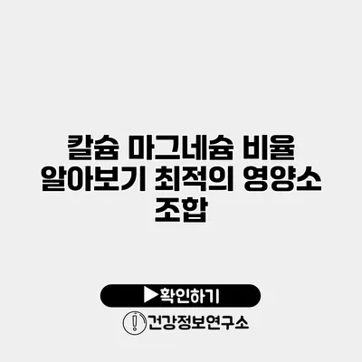 칼슘 마그네슘 비율 알아보기 최적의 영양소 조합