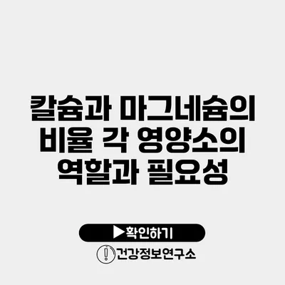 칼슘과 마그네슘의 비율 각 영양소의 역할과 필요성