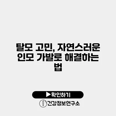 탈모 고민, 자연스러운 인모 가발로 해결하는 법