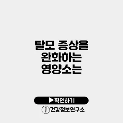 탈모 증상을 완화하는 영양소는?