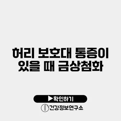 허리 보호대 통증이 있을 때 금상첨화