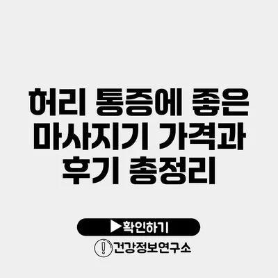 허리 통증에 좋은 마사지기 가격과 후기 총정리