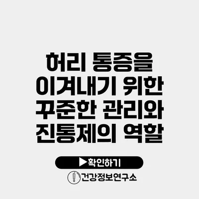 허리 통증을 이겨내기 위한 꾸준한 관리와 진통제의 역할