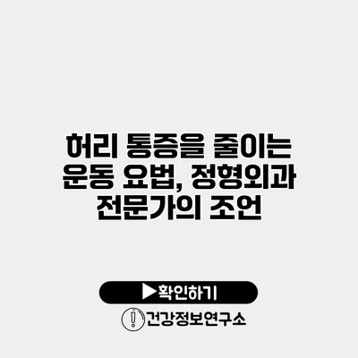 허리 통증을 줄이는 운동 요법, 정형외과 전문가의 조언