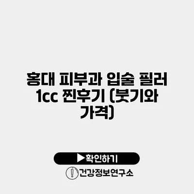 홍대 피부과 입술 필러 1cc 찐후기 (붓기와 가격)